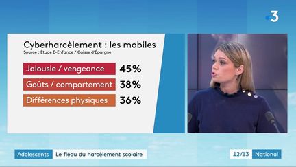 Le harcèlement scolaire ou le cyberharcèlement ne sont pas des phénomènes rares pour les adolescents. Selon une étude, 20% des 8-18 ans en ont été victimes au moins une fois dans leur vie. (CAPTURE D'ÉCRAN FRANCE 3)