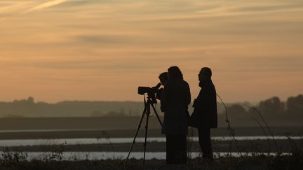 &nbsp; (Observation sur le lac du Der © OT)