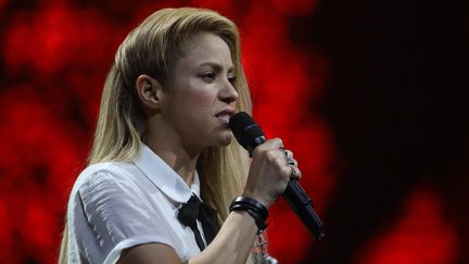 La chanteuse Shakira lors d'un concert à Hambourg&nbsp; (Allemagne), le 6 juillet 2017. (GEORG WENDT / DPA / AFP)