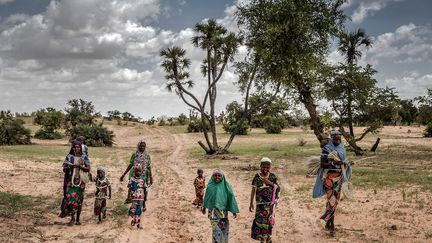 "Des interventions précoces" dans les pays qui risquent d'être frappés par des catastrophes naturelles, peuvent permettre d'empêcher que les crises se transforment en urgences humanitaires, ou au moins d'atténuer leurs impacts. Autant d'impératifs soulignés dans un rapport publié en juillet 2018 par la FAO. (LUIS TATO/FAO/AFP)