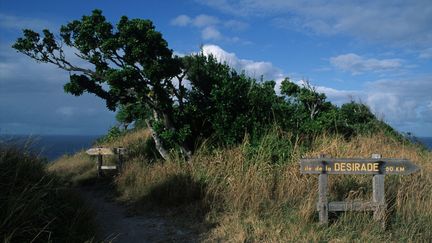 The island of Grande-Terre in Guadeloupe, March 29, 2021. (ROSINE MAZIN / MAZIN ROSINE)