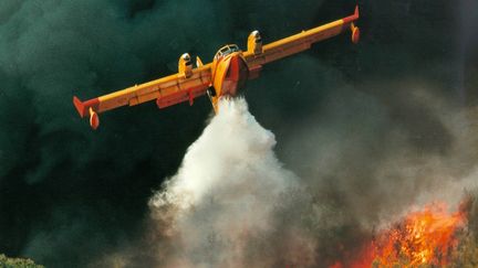 Un canadairs en action sur un feu de végétations proche de Gabian. (SDIS 34)