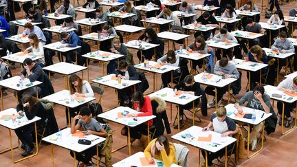 Des étudiants planchent sur le concours d'entrée à la faculté de médecine de Nantes, le 13 décembre 2016. (FRANCK DUBRAY / MAXPPP)