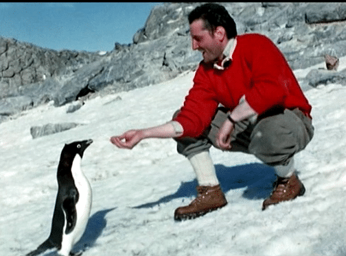 Au contact de la vie sauvage
 (France 3)