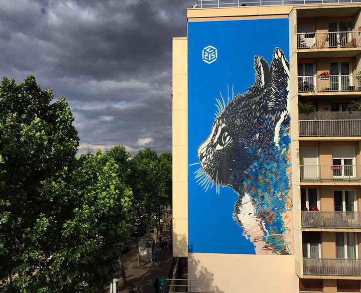 Le chat de C215, Boulevard Auriol, Paris 13e
 (C215)