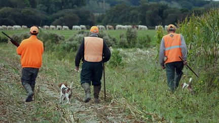 Des chasseurs près de Plouescat (Finistère), le 10 octobre 2018. (MAXPPP)