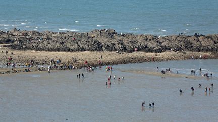 De nombreux p&ecirc;cheurs &agrave; pied se sont retrouv&eacute;s dans la baie de Saint-Brieuc (C&ocirc;tes-d'Armor), &agrave; l'occasion de la mar&eacute;e du si&egrave;cle, samedi 21 mars. (  MAXPPP)