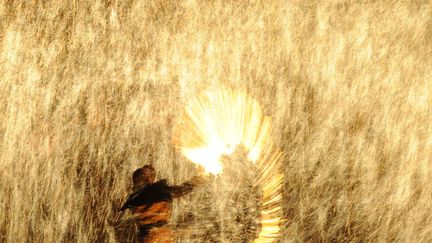 Un forgeron lance du m&eacute;tal fondu contre un mur froid pour cr&eacute;er des &eacute;tincelles dans le cadre des c&eacute;l&eacute;brations du festival des lanternes &agrave; Nuanquan (Chine), le 6 f&eacute;vrier 2012. (MARK RALSTON / AFP)