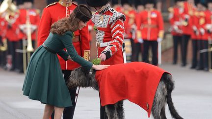 La duchesse de Cambridge, Kate Middleton, caresse un chien de la garde irlandaise le jour de la Saint Patrick, le 17 mars 2012. (ALPHA PRESS / MAXPPP)