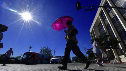 Météo : des records de chaleur en France