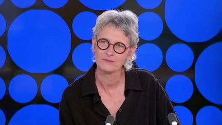 Médias : Fabienne Desseux s’interroge sur "Qui veut la peau du dessin de presse"