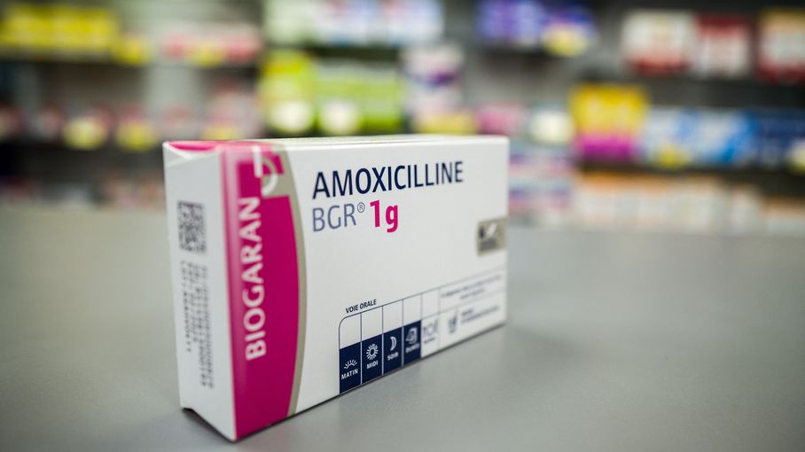 Prix de amoxicilline