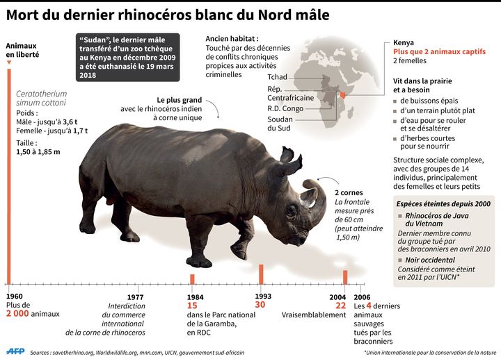 Mars 2018 : mort de Sudan, le&nbsp;dernier rhinocéros blanc du Nord mâle. (AFP)