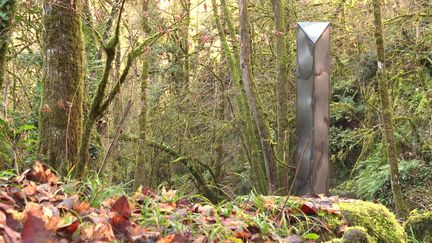 Un étrange monolithe a été découvert dans une forêt des Deux-Sèvres (France 3)