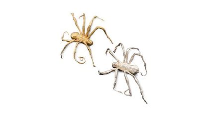 Louise Bourgeois Spider Brooch 2005. Gold and Sterling Silver
 (Louise Bourgeois Trust/VAGA, New York/ADAGP, Paris 2012)