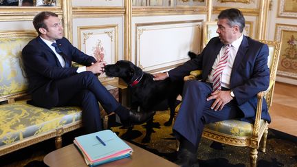 Le chef de l'Etat a adopté un labrador croisé de griffon dans un refuge de la SPA. Il a présenté son animal de compagnie à Sigmar Gabriel, en visite à Paris.