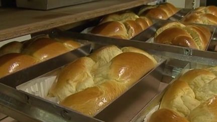 Brioche vendéenne :&nbsp;l'héritage du bocage (FRANCE 2)