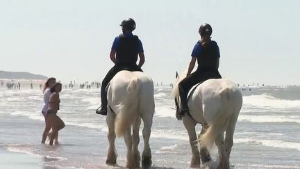 Calais : une patrouille à cheval pour faire respecter les gestes barrières sur les plages (FRANCE 2)