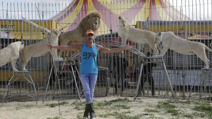 Frédéric Edelstein en compagnie de ses célèbres lions blancs, à Marseille (Bouches-du-Rhône), le 26 mars 2017. (SPEICH FR?D?RIC / MAXPPP)