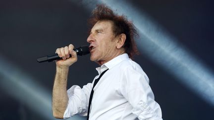 Alain Souchon au festival des Vieilles Charrues à Carhaix, le 16 juillet 2016 (FRED TANNEAU / AFP)