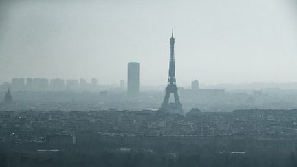 Vue générale de Paris, le 2 mars 2021. Au premier pla, la tour Eiffel, au second la tour Montparnasse. (JOEL SAGET / AFP)