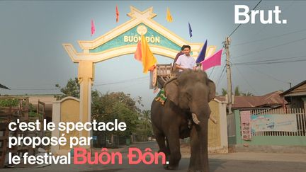 Au Vietnam, le festival Buon Don met en scène des éléphants capables de réaliser toutes sortes de numéros. Plusieurs ONG pointent les techniques de dressage employées.