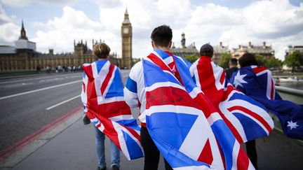 Des piétons se dirigent avec des drapeaux vers le Parlement britannique, à Londres (Royaume-Uni), le 26 juin 2016. (ODD ANDERSEN / AFP)