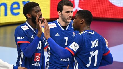 Les joueurs de l'équipe de France de handball célèbrent leur victoire (30-29) face au Danemark, le 26 janvier 2022,&nbsp;lors de l'Euro en Hongrie. (ATTILA KISBENEDEK / AFP)