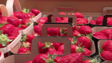 Les fraises françaises restent plus chères que leurs voisines espagnoles. (FRANCE 2)