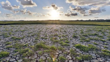 Coucher de soleil en Normandie, à Regnéville-sur-Mer, dans la Manche, sur les marais asséchés par la canicule.&nbsp; (GETTY IMAGES / PHOTONONSTOP RF)