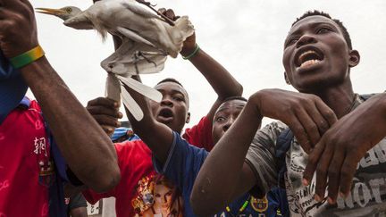 Des manifestants de l'opposition dans les rues de Kinshasa pour réclamer le départ du président Kabila, le 20 décembre 2016. (Photo AFP/Eduardo Soteras)