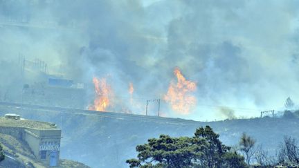 Incendie sur la côte Vermeille dans les Pyrénées-Orientales, à Cerbère, le 16 avril 2023. (CHRISTOPHE BARREAU / MAXPPP)