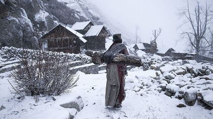 Par moins 21 degrés, une femme âgée de la tribu Kinnaura porte de grosses bûches pour réchauffer sa maison.
 (Mattia Passarini / National Geographic)