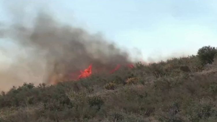 Pyrénées-Orientales : l'incendie en passe d'être stabilisé