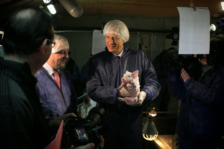 Dominique de Villepin, alors Premier ministre, tient un porcelet au Salon de l'agriculture, le 15 f&eacute;vrier 2010. (  MAXPPP)