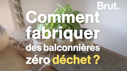 Faire pousser des plantes aromatiques ou des plantes pour les abeilles, c'est possible même en appartement. Voilà comment.