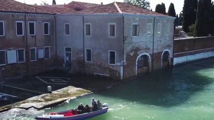 Le surprises de la lagune de Venise (Capture d'écran France 2)