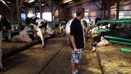 Christophe au milieu de ses vaches laitières, à Betton (Ille-et-Vilaine), le 30 août 2016. (ELISE LAMBERT / FRANCE INFO)