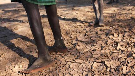 &nbsp; (Un statut du réfugié climatique à l'étude © Maxppp)