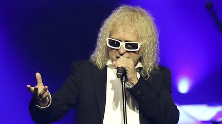 Michel Polnareff donne un concert, le 8 novembre 2016, à Nice (Alpes-Maritimes).&nbsp; (VALERY HACHE / AFP)