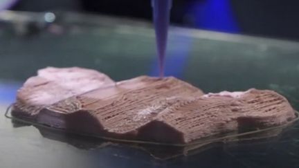 Consommation : un steak sans viande fabriqué par une imprimante 3D