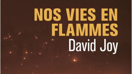 "Nos vies en flamme" de David Joy (10/18)