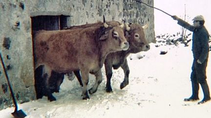 L'une des photos d'Aubrac de Jean-Dominique Lajoux
 (Jean-Dominique Lajoux)