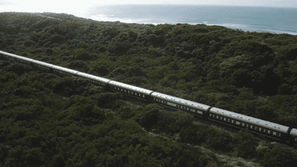 Afrique du Sud : le train Rovos, un moyen de transport hors du temps (France 2)