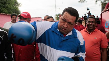 Le pr&eacute;sident v&eacute;n&eacute;zu&eacute;lien Hugo Chavez en campagne avec des gants de boxe &agrave; Acarigua (Venezuela), le 24 septembre 2012. (EPA / MAXPPP)