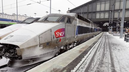 Des TGV bloqu&eacute;s en gare du Nord &agrave; Paris, le 12 mars 2013. (THOMAS SAMSON / AFP)