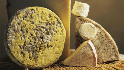 Fromage : 600 000 tonnes vendues chaque année en France