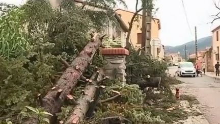 Pyrénées-Orientales : une tornade frappe le village de Maureillas (FRANCE 2)