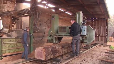 Reconstruction de Notre-Dame de Paris : l'immense fierté d'une petite scierie normande (FRANCE 3)