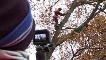 C’est un métier peu plébiscité :&nbsp;élagueur.&nbsp;Mais depuis que ces&nbsp;élagueurs&nbsp;publient leurs interventions sur les réseaux sociaux, la profession suscite des envies.  (CAPTURE D'ÉCRAN FRANCE 3)